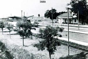 TABIA 04